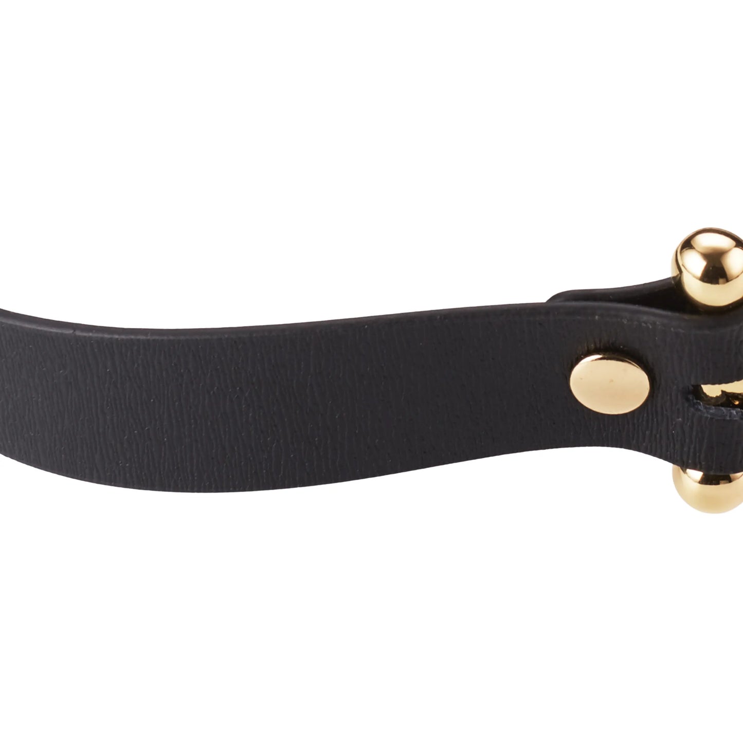 Roomfun’s Leather O-Ring Mouth Gag with Tongue Depressor Golden